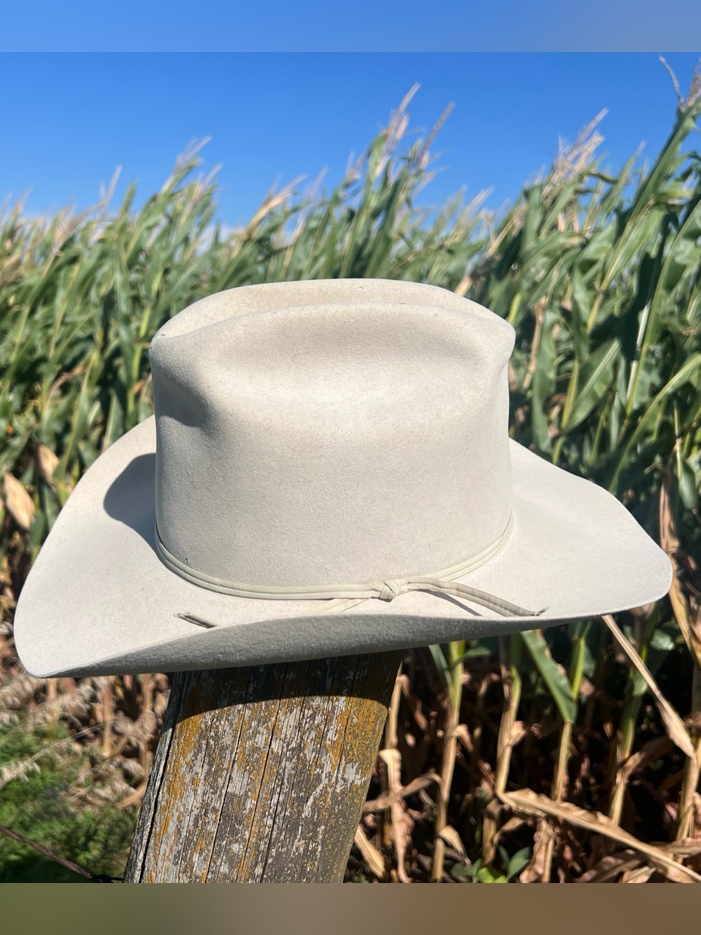 Vintage Stetson Rancher 4X Beaver Cowboy Hat Silverbelly 7 1/4